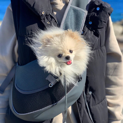 Pet Puppy Carrier - Joyful Paw Co 