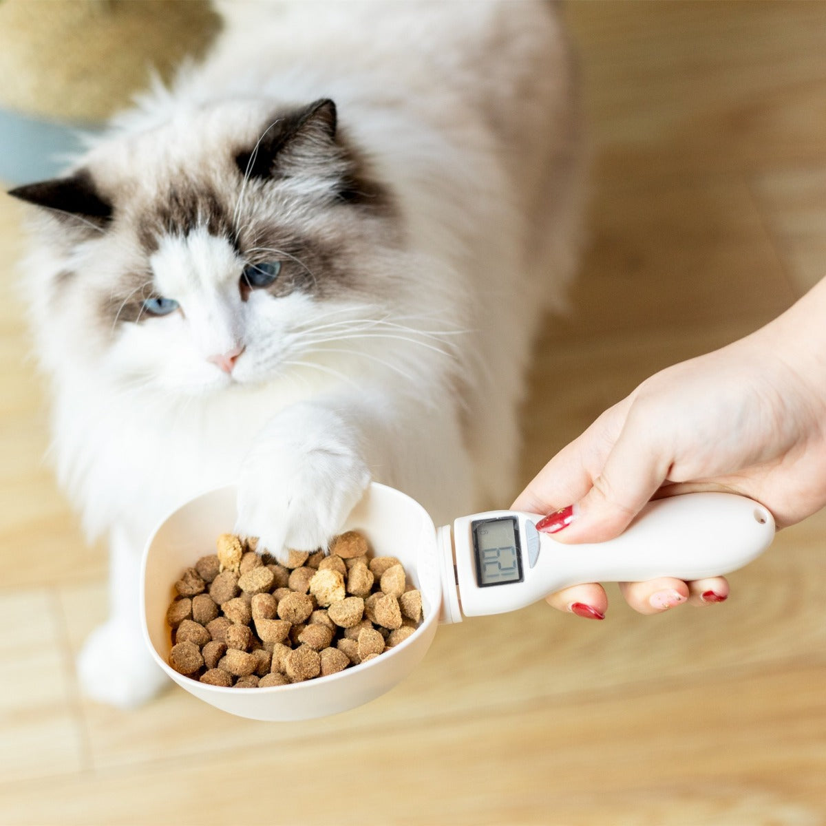 Digital Pet Food Measuring Spoon